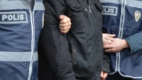 698af55419846542.jpg