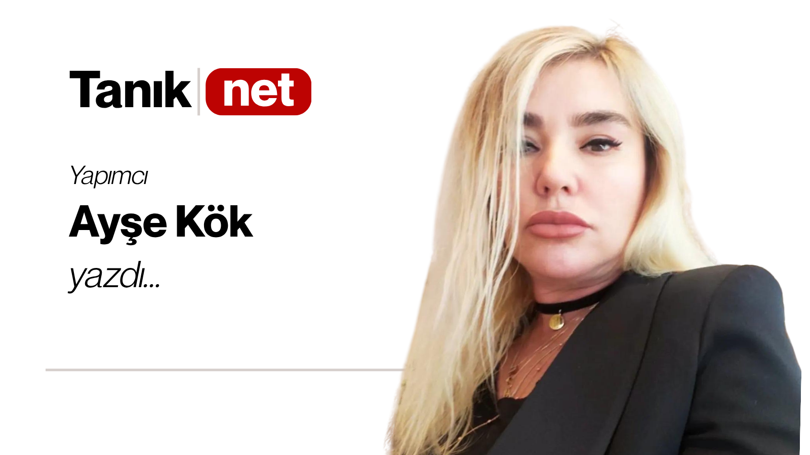 Ayşe Kök yazdı