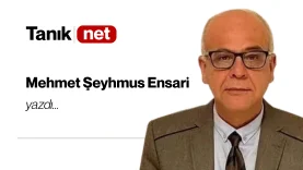 mehmet şehmus ensari yazdı