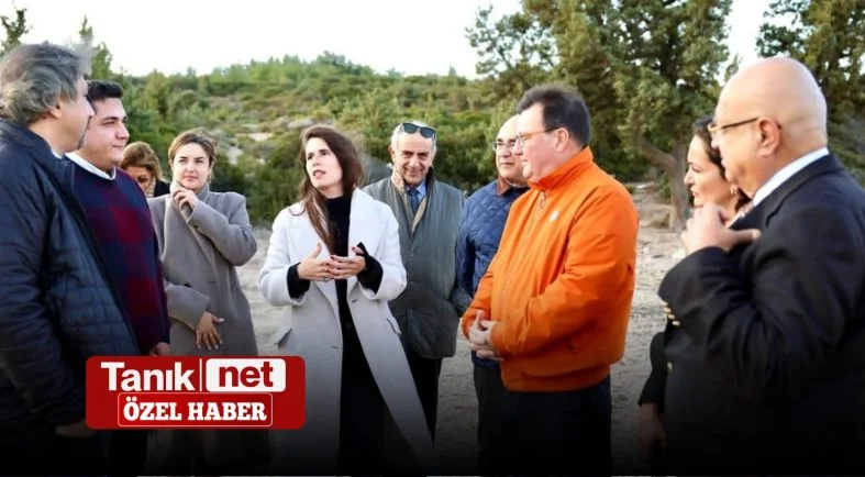 tanıkaa