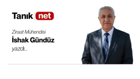 İshak Gündüz