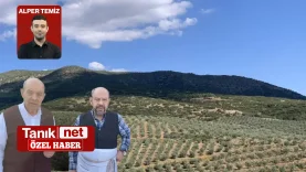 tanık
